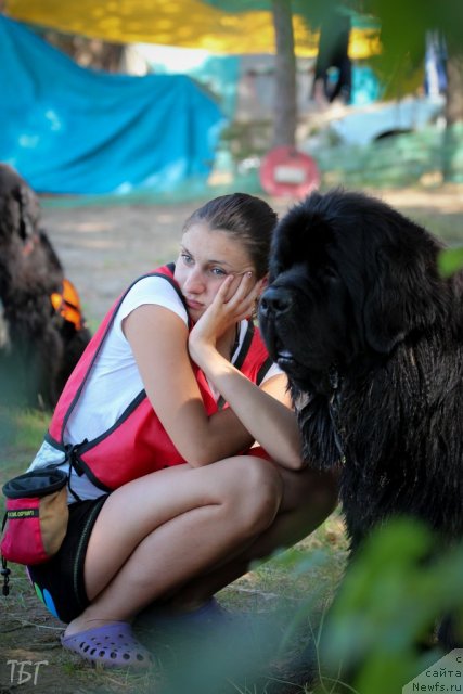 Фотография № 101904