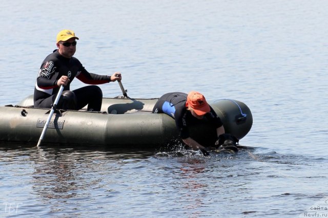 Фотография № 101909