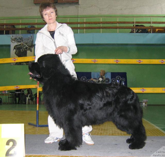 Фотография № 10191