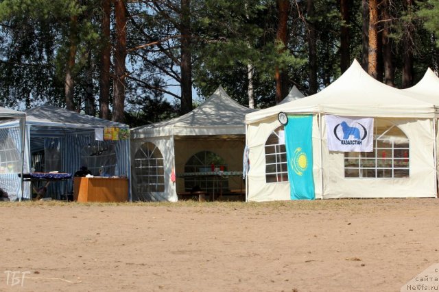 Фотография № 101911