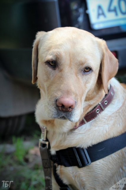 Фотография № 101923