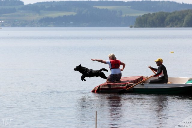 Фотография № 101930