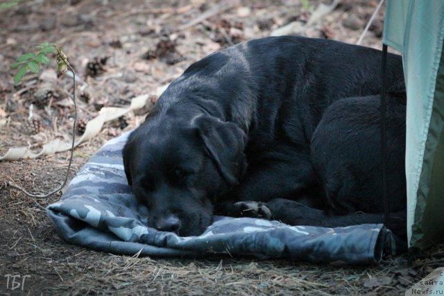 Фотография № 101931