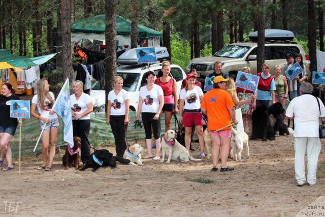 Фотография № 101939