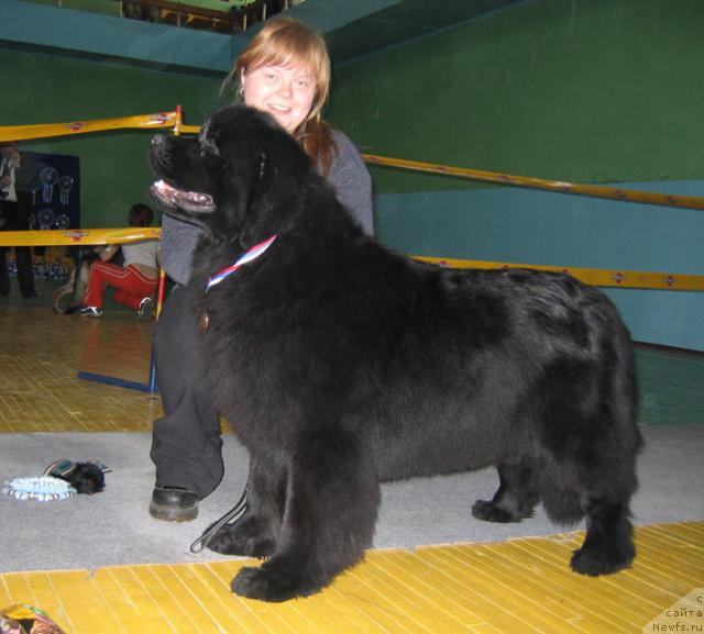 Фотография № 10194