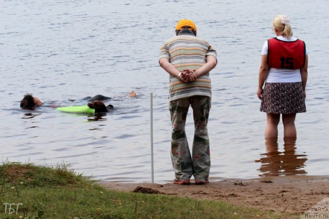 Фотография № 101943