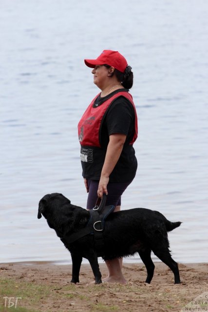 Фотография № 101944