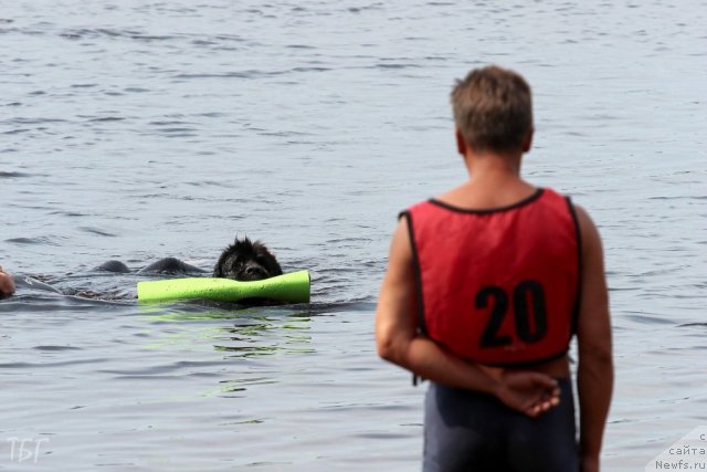 Фотография № 101945