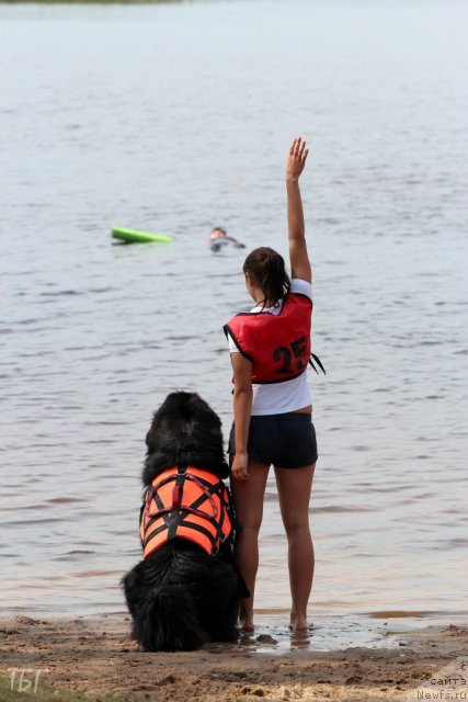 Фотография № 101947