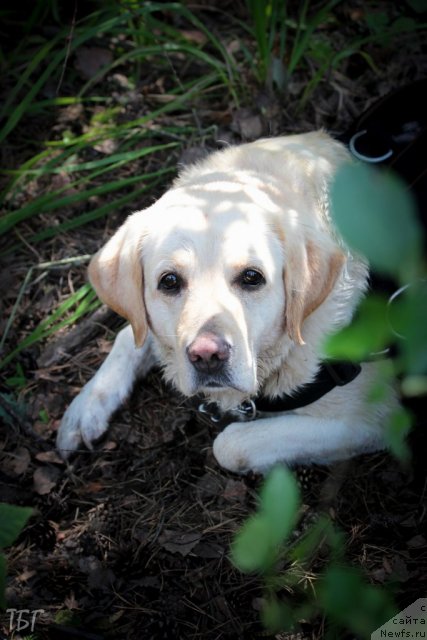 Фотография № 101948