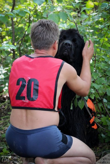 Фотография № 101950