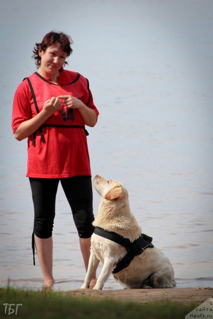 Фотография № 101951