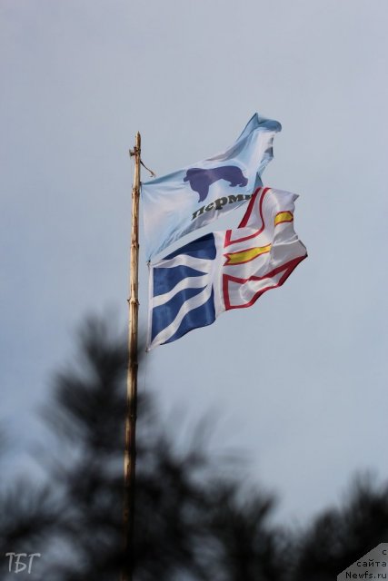 Фотография № 101961