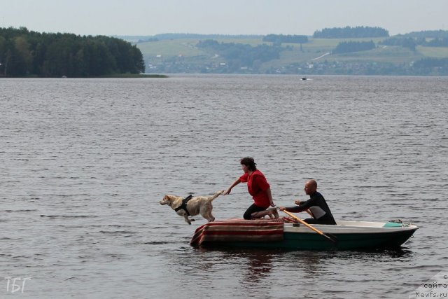 Фотография № 101962