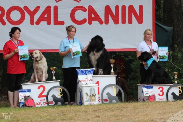 Фотография № 101964