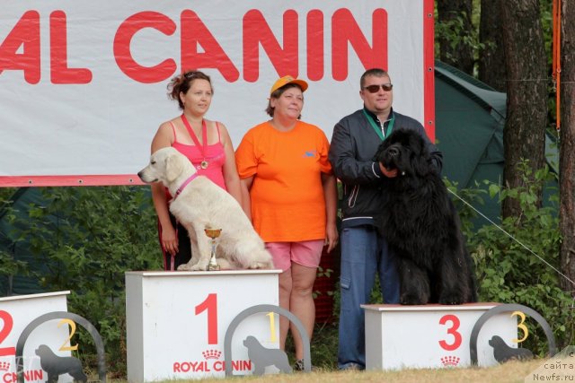 Фотография № 101967