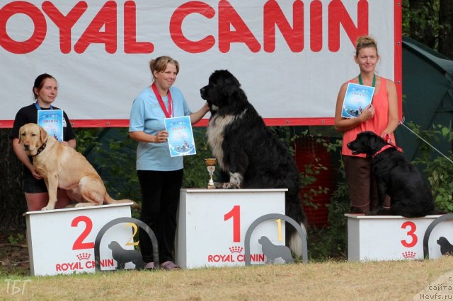 Фотография № 101968