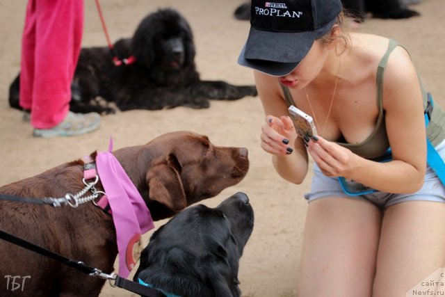 Фотография № 101971