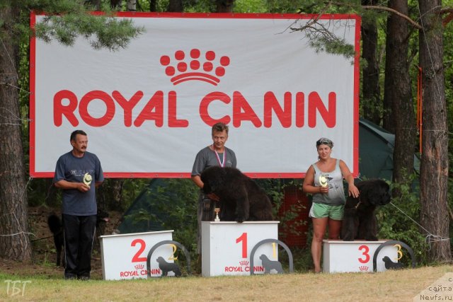 Фотография № 101972