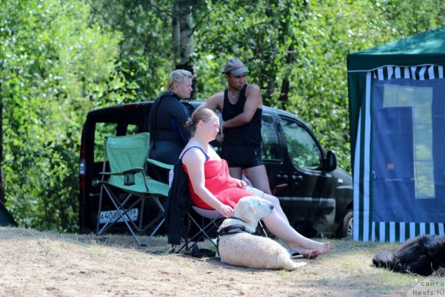 Фотография № 101974