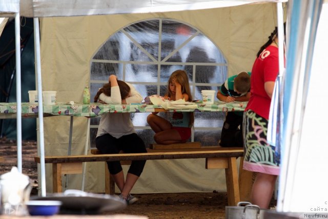 Фотография № 101977