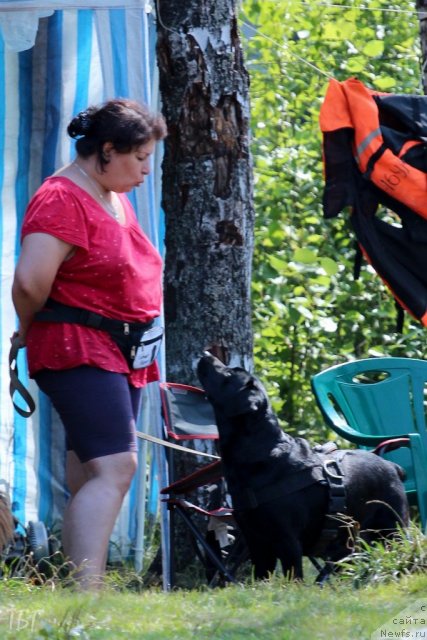 Фотография № 101978