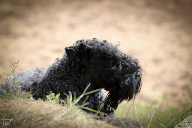 Фотография № 101979