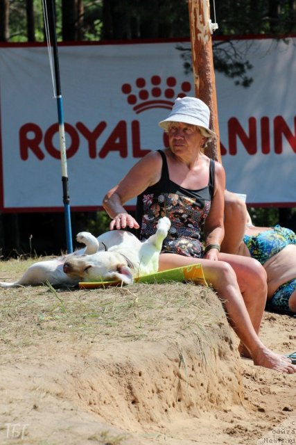 Фотография № 101980