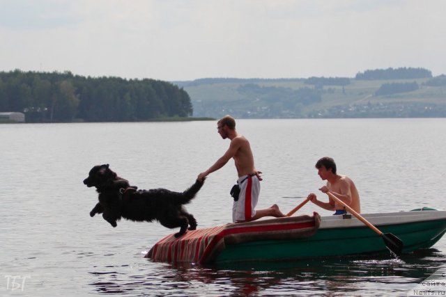 Фотография № 101986