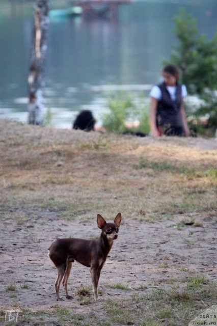 Фотография № 101988