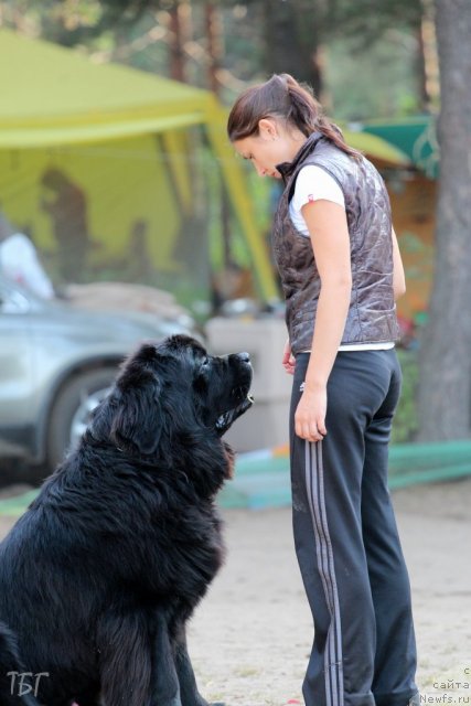 Фотография № 101989