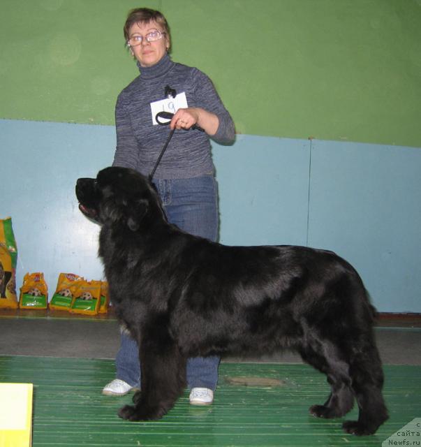 Фотография № 10199