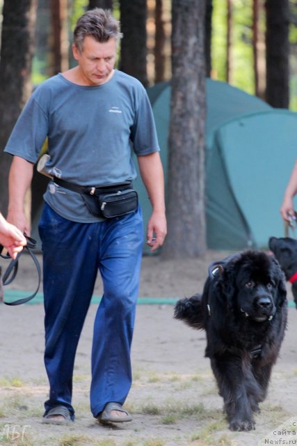 Фотография № 101990