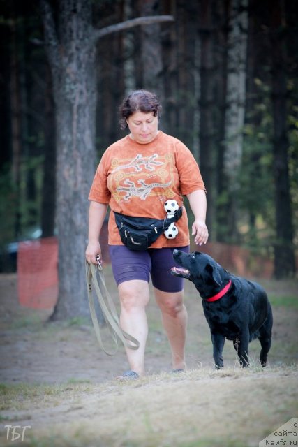 Фотография № 101991