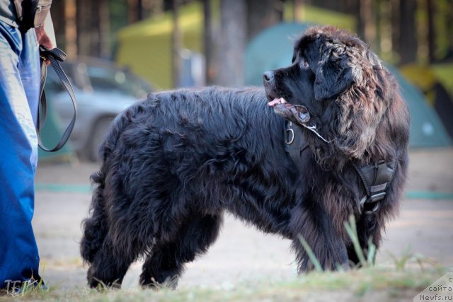 Фотография № 101992