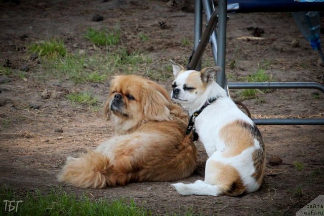 Фотография № 101993