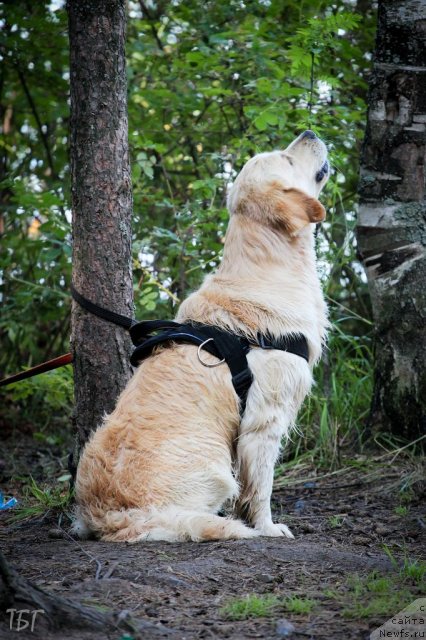 Фотография № 101997