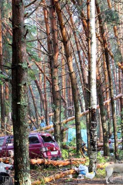 Фотография № 102003