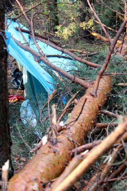 Фотография № 102010