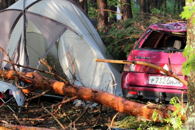 Фотография № 102012