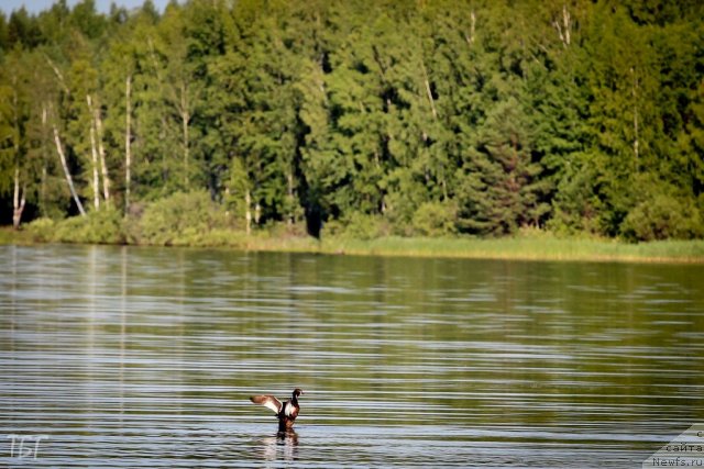 Фотография № 102018