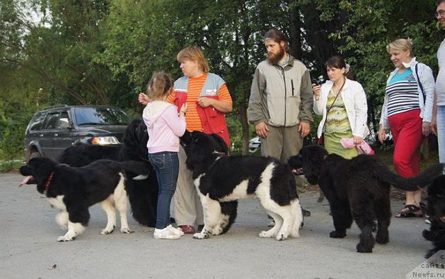 Фотография № 102024