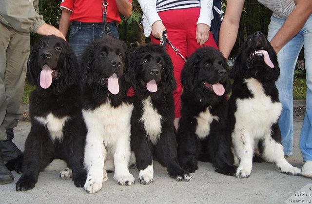 Фотография № 102029