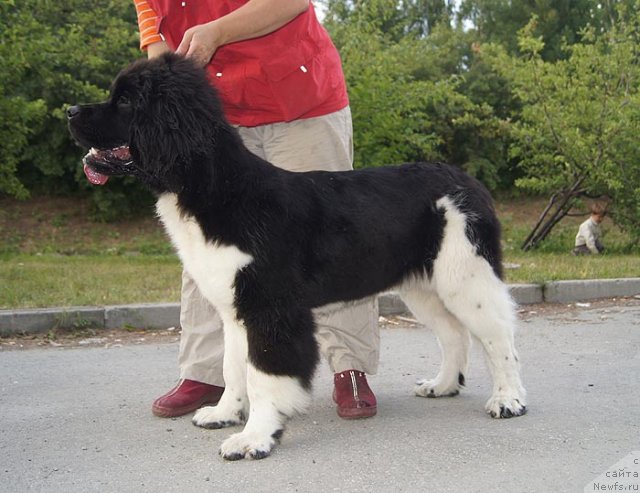 Фотография № 102035