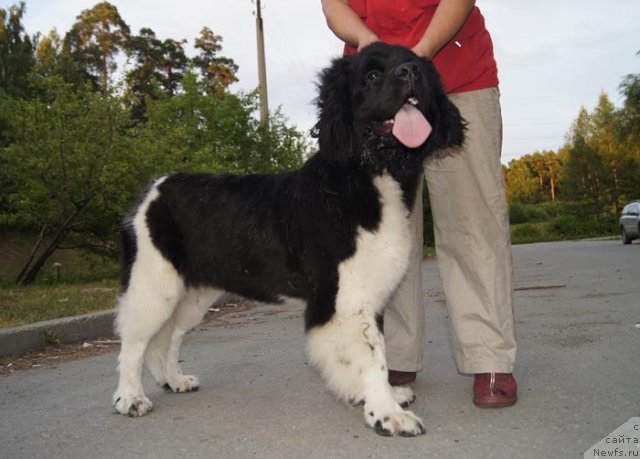 Фотография № 102036