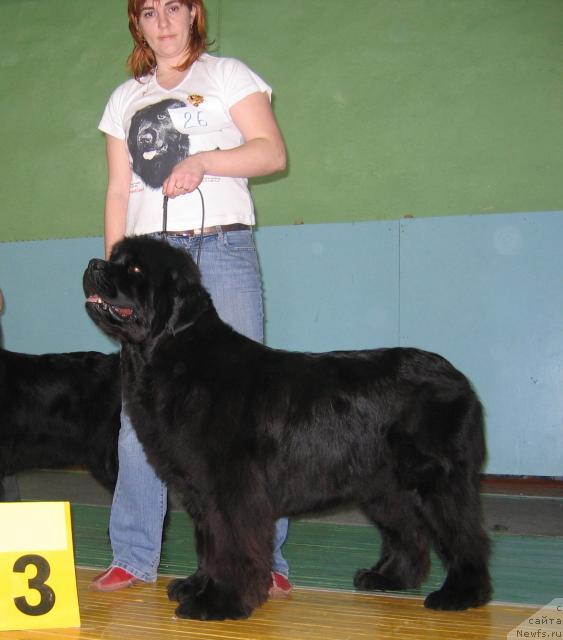 Фотография № 10204