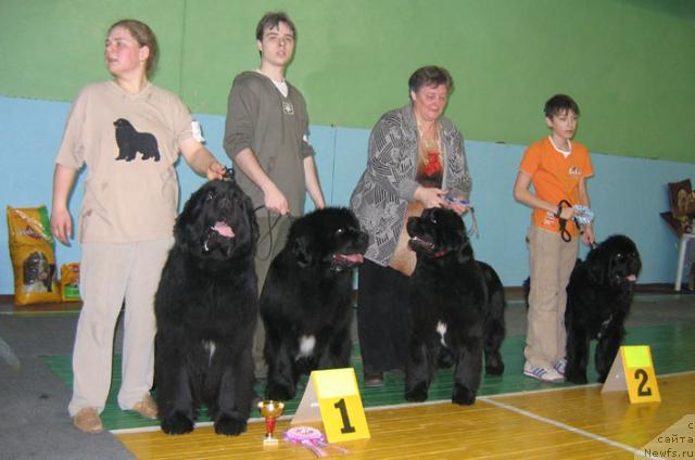 Фотография № 10206