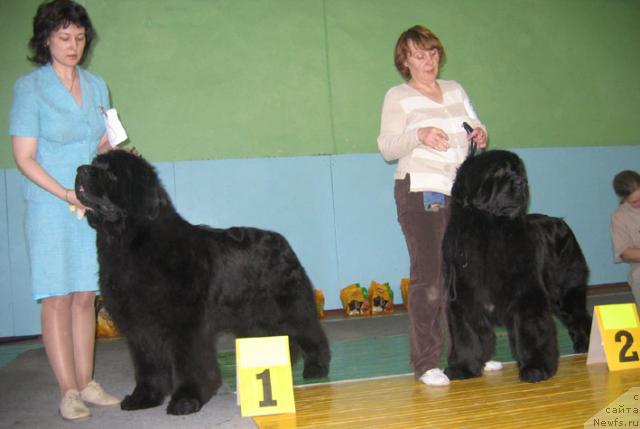 Фотография № 10207