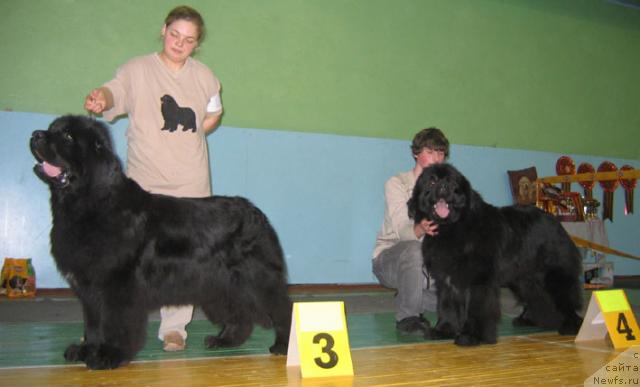 Фотография № 10208