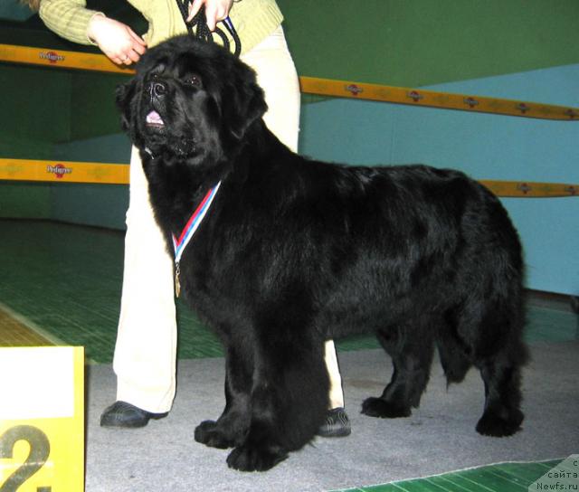 Фотография № 10209